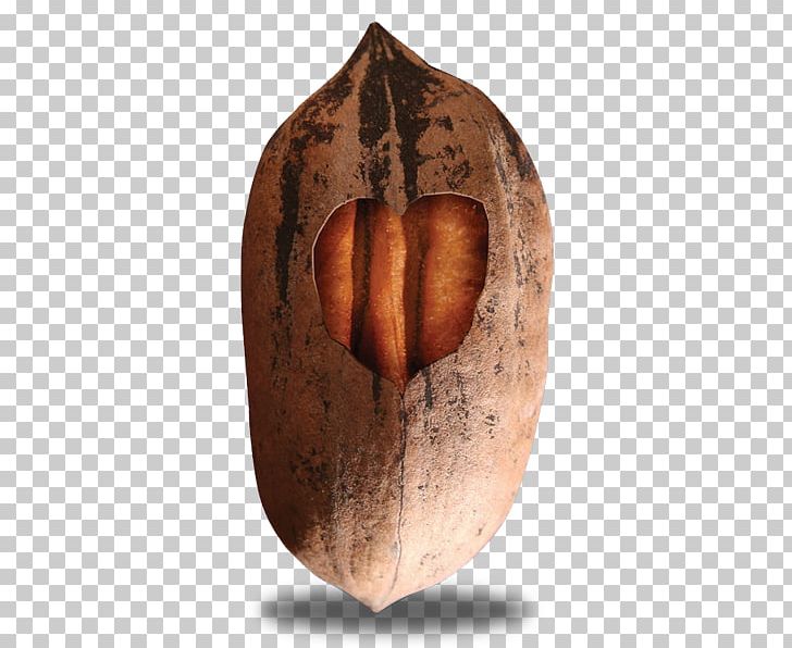 Nut Pecan Logo PNG, Clipart, Artifact, Commodity, Heart, Logo, Nut Free PNG Download