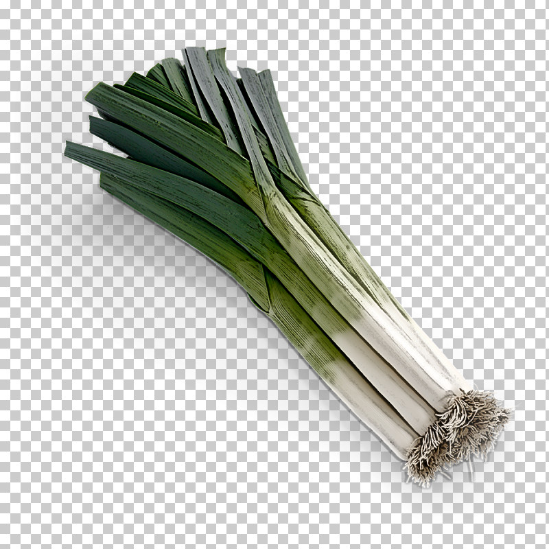 Welsh Onion Vegetable Leek Plant Calçot PNG, Clipart, Allium, Chives, Food, Grass, Leek Free PNG Download