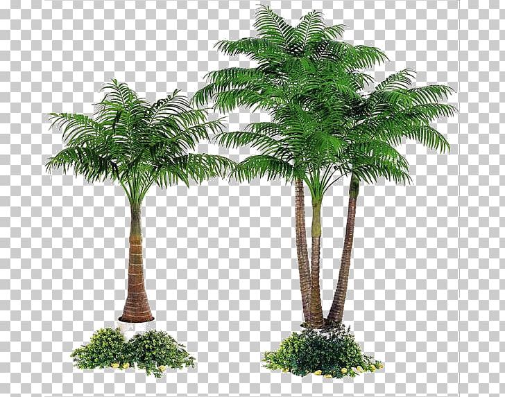 Areca Palm Date Palm Arecaceae Tree Fiberglass PNG, Clipart, Alibaba Group, Arecales, Christmas Tree, Date Palms, Evergreen Free PNG Download