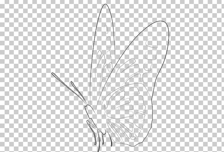 Brush-footed Butterflies Moth Sketch Butterfly Design PNG, Clipart, Angle, Artwork, Black And White, Brush Footed Butterfly, Butterfly Free PNG Download
