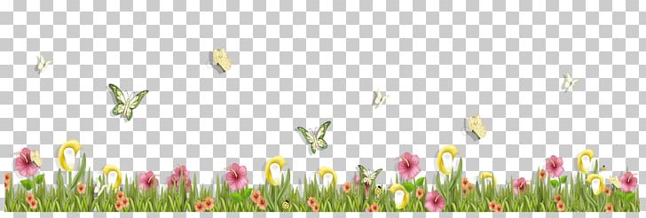 Butterfly Flower PNG, Clipart, Butterflies, Butterfly Flower, Clip Art, Common Daisy, Computer Graphics Free PNG Download