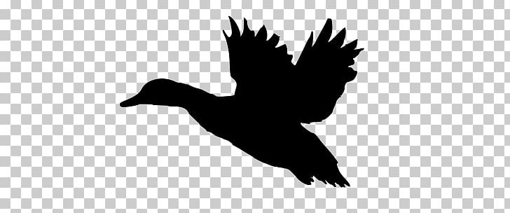 Duck Mallard Silhouette PNG, Clipart, American Black Duck, Art, Beak, Bird, Black And White Free PNG Download