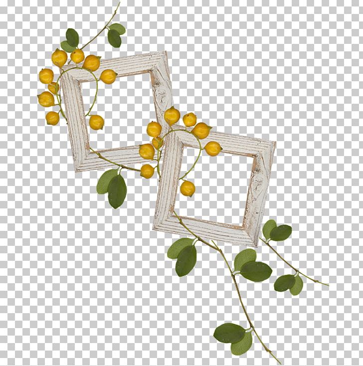 Frames Drawing Blog Berry PNG, Clipart, Berry, Blog, Branch, Data, Drawing Free PNG Download