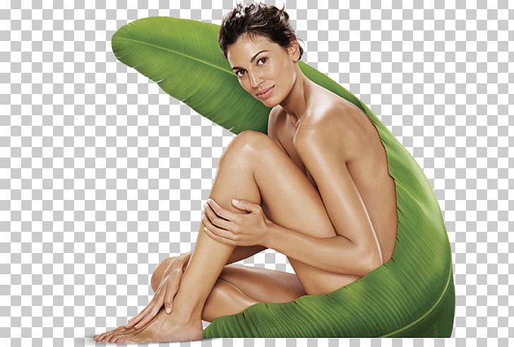 Herbalife Business Information PNG, Clipart, Abdomen, Business, Care, Celebrities, Chest Free PNG Download