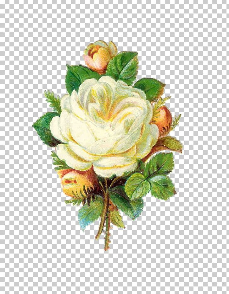 Rose White Antique PNG, Clipart, Artificial Flower, Color, Cut Flowers, Drawing, Floral Design Free PNG Download