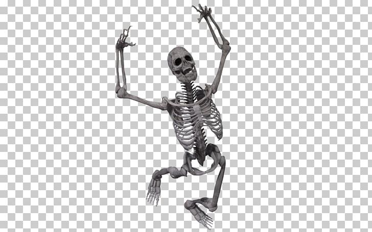 Skeleton PNG, Clipart, Skeleton Free PNG Download