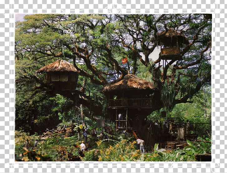 The Swiss Family Robinson Swiss Family Treehouse Tree House Adventure Film PNG, Clipart, Adventure Film, Biome, Building, Child, Family Free PNG Download