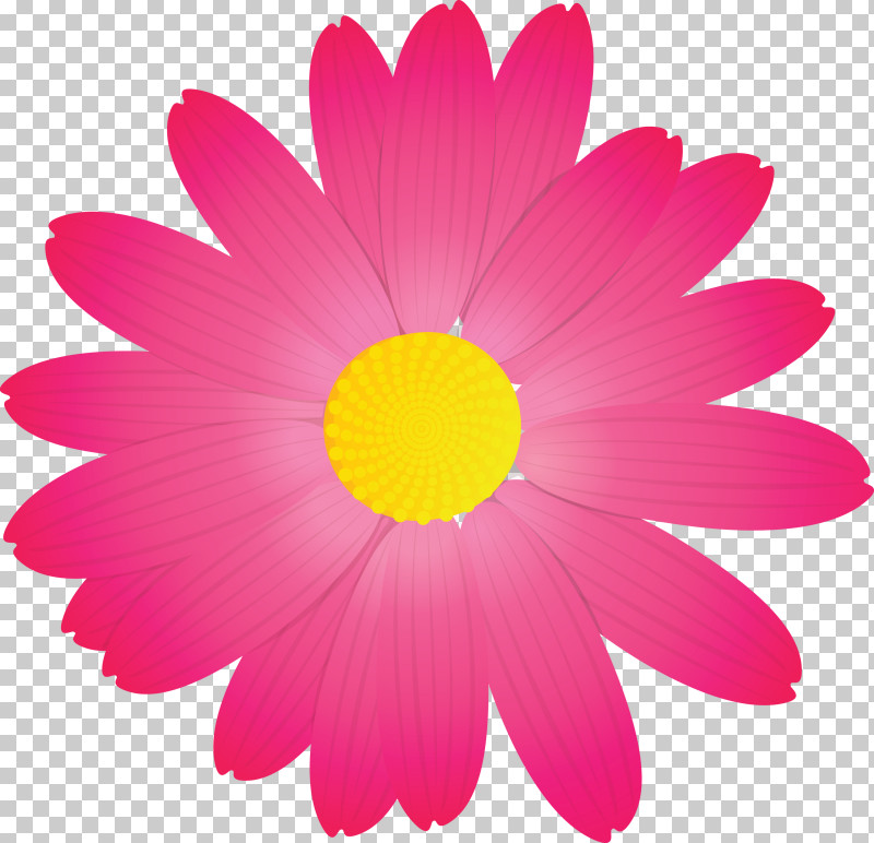 Marguerite Flower Spring Flower PNG, Clipart, Barberton Daisy, Camomile, Chamomile, Cosmos, Daisy Free PNG Download