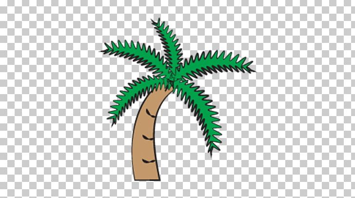 Arecaceae Flowerpot Plant Stem Tree PNG, Clipart, Arecaceae, Flowerpot, Grass, Others, Palm Tree Free PNG Download