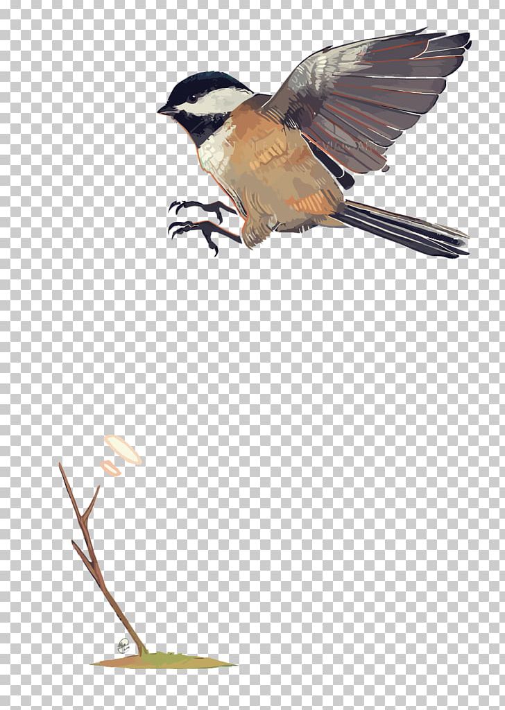 Eurasian Tree Sparrow Finch Bird PNG, Clipart, Animals, Beak, Birds, Branch, Fauna Free PNG Download