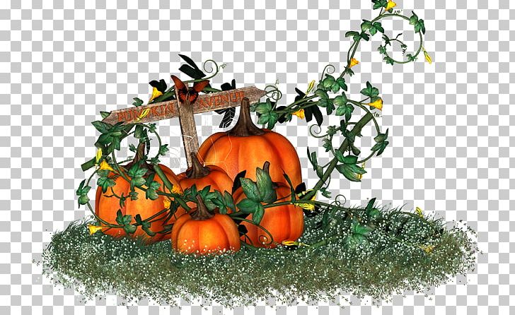 Pumpkin Vegetarian Cuisine Witch Gourd Design PNG, Clipart, Calabaza, Citrus, Cucurbita, Food, Fruit Free PNG Download