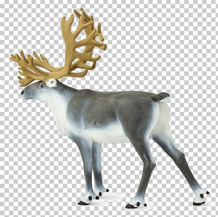 Reindeer Safari Ltd White-tailed Deer Wildlife PNG, Clipart, Animal, Animal Figure, Antler, California, Caribou Free PNG Download