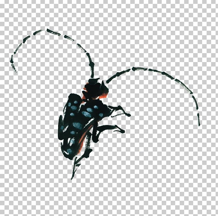 Beetle Antenna Ink PNG, Clipart, Abstract Pattern, Animals, Antenna, Arthropod, Beetle Free PNG Download