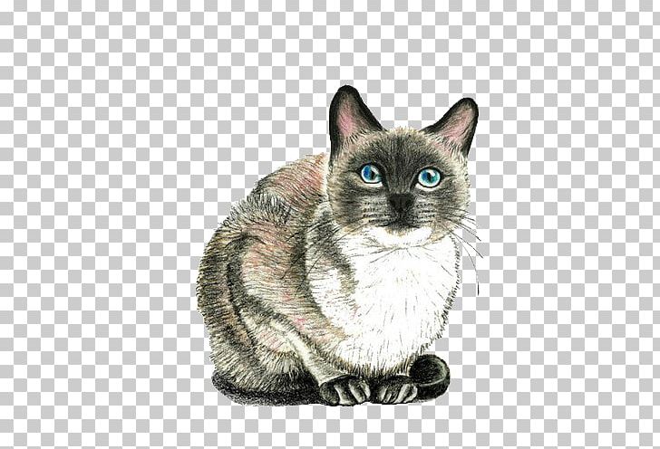 Cat Drawing Kitten PNG, Clipart, Animals, Asian, Carnivoran, Cartoon, Cat Free PNG Download