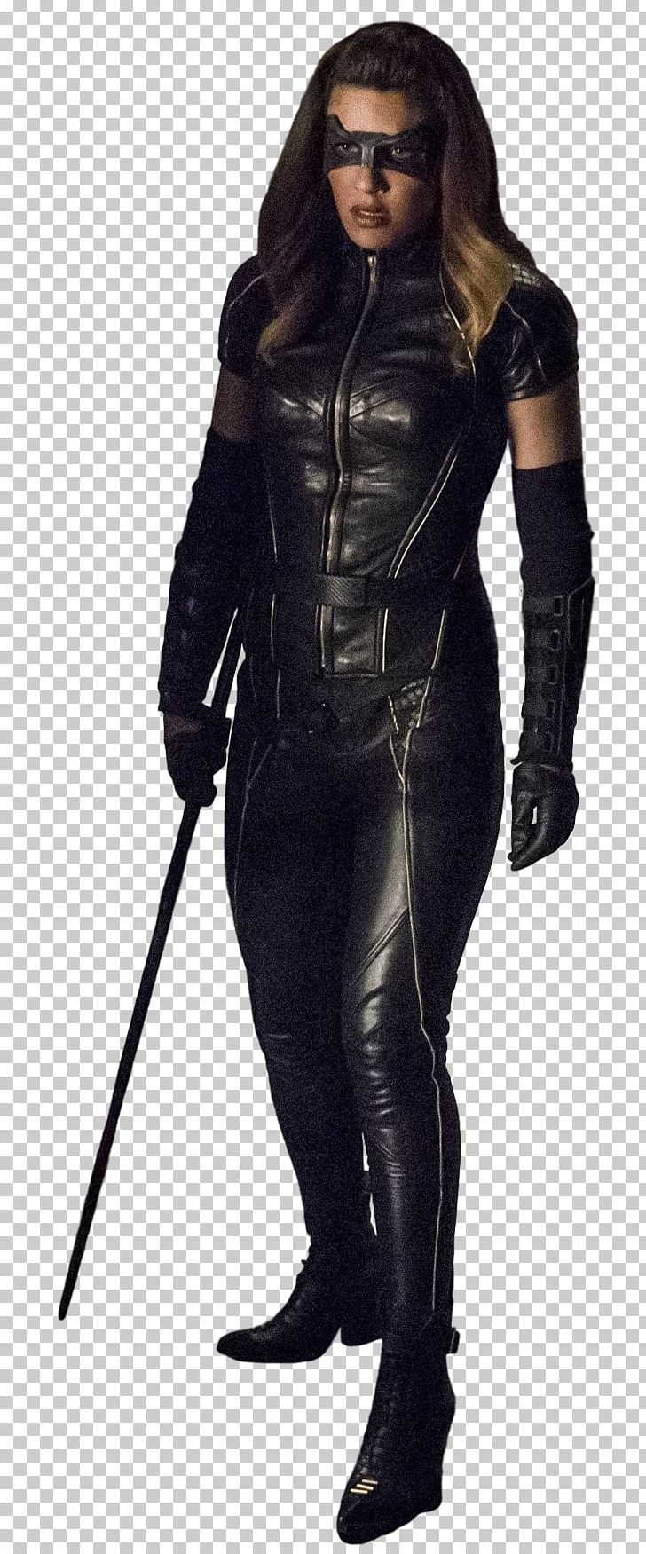 Black Canary Catwoman Cisco Ramon Vixen Arrow PNG, Clipart, Anne Hathaway, Arrow, Black Canary, Catwoman, Character Free PNG Download