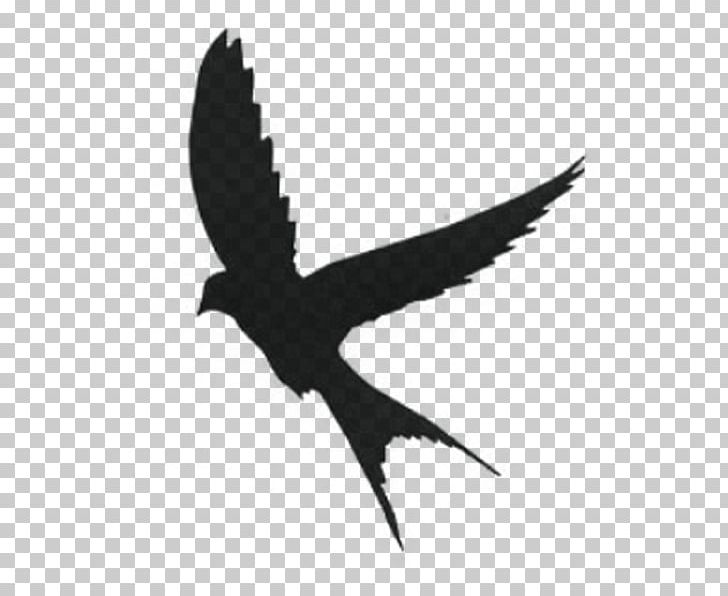 Silhouette Mockingbird Swallow PNG, Clipart, Animals, Beak, Bird, Black And White, Drawing Free PNG Download