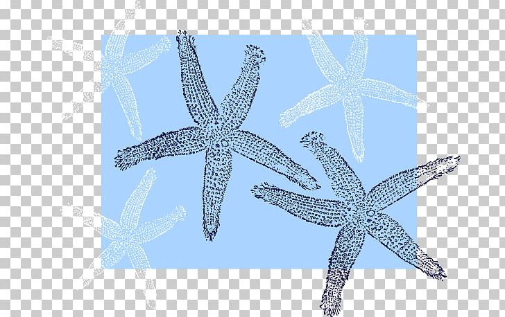 Starfish Echinoderm Beach Bag Unisex PNG, Clipart, Bag, Beach, Blue, Echinoderm, Invertebrate Free PNG Download