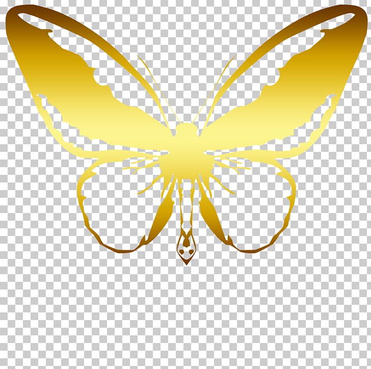 Butterfly Moth Insect PNG, Clipart, Arthropod, Blue Butterfly, Butterflies, Butterflies And Moths, Butterfly Group Free PNG Download