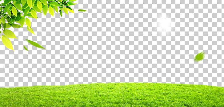 Green Leaf PNG, Clipart, Angle, Computer Wallpaper, Designer, Euclidean Vector, Fall Leaves Free PNG Download