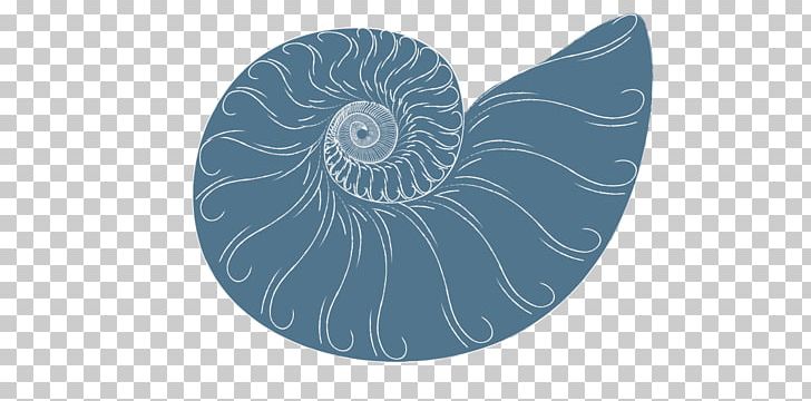 Invertebrate Nautiluses Spiral Circle Microsoft Azure PNG, Clipart, Circle, Invertebrate, Microsoft Azure, Nautilida, Organism Free PNG Download