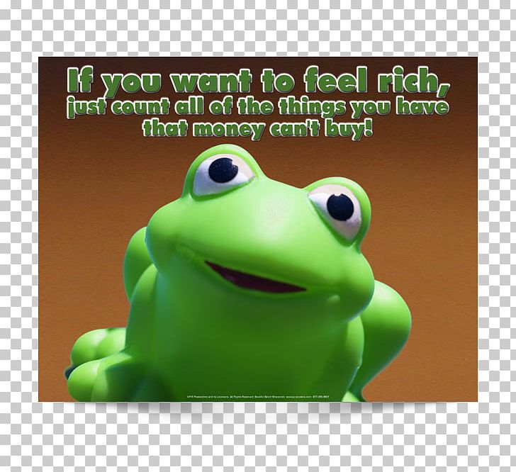 Tree Frog True Frog Product Design PNG, Clipart, Amphibian, Animals, Frog, Grass, Green Free PNG Download