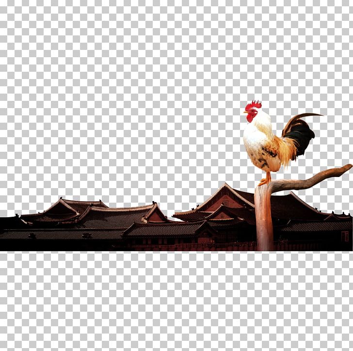 Chicken Rooster PNG, Clipart, Adobe Illustrator, Animals, Badminton Shuttle Cock, Beak, Big Cock Free PNG Download