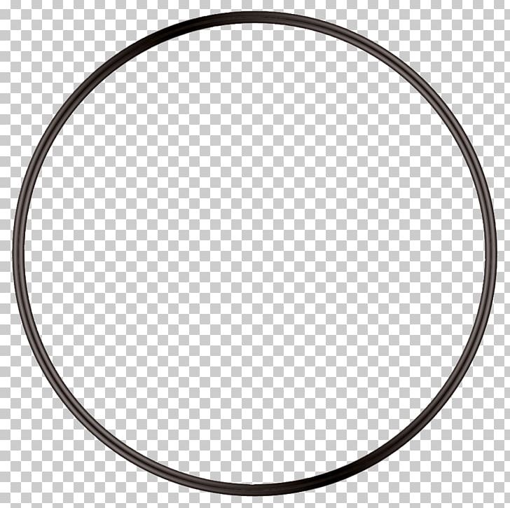 O-ring Gasket Pump Seal Water Filter PNG, Clipart, Animals, Auto Part, Body Jewelry, Circle, Ean Free PNG Download