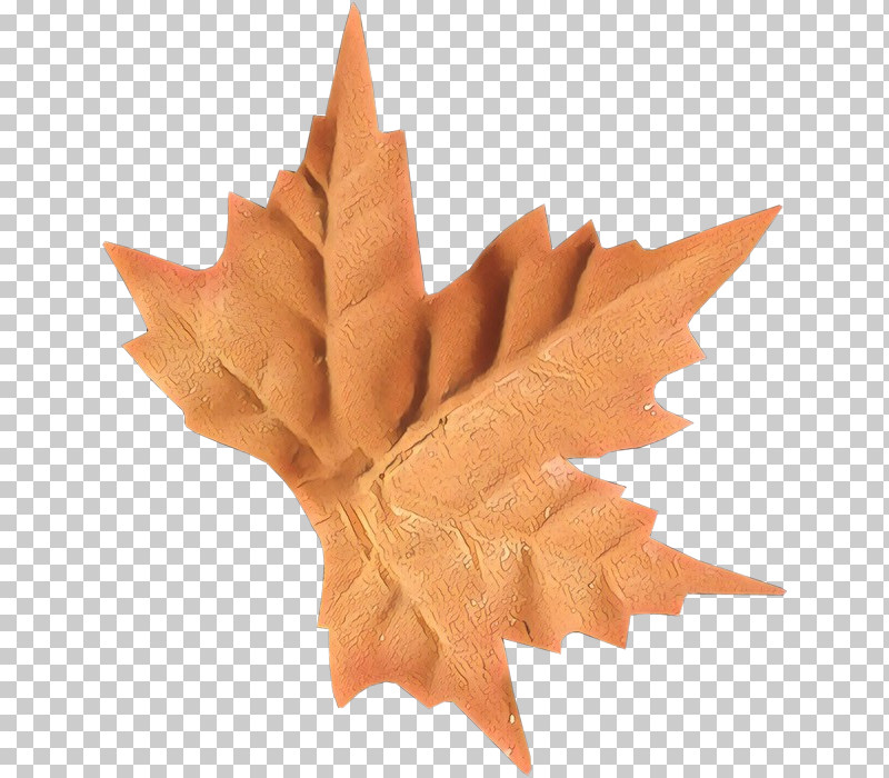 Maple Leaf PNG, Clipart, Black Maple, Carving, Leaf, Maple Leaf, Paper Free PNG Download