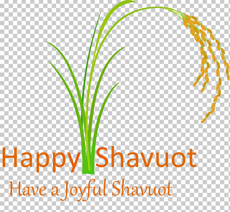 Happy Shavuot Shavuot Shovuos PNG, Clipart, Grass, Grass Family, Happy Shavuot, Leaf, Line Free PNG Download
