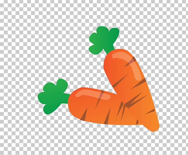 Carrot Daikon Vegetable Food PNG, Clipart, Auglis, Brassica Oleracea, Bunch Of Carrots, Carotene, Carrot Free PNG Download