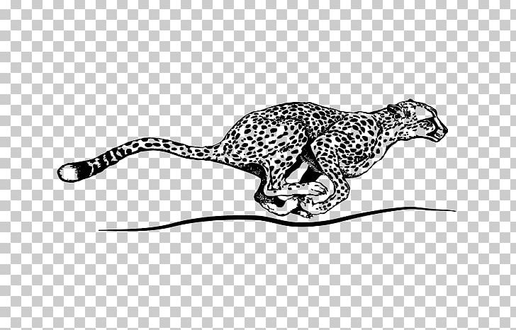 Cheetah Cougar Jaguar Leopard Coloring Book PNG, Clipart, Animal, Animal Figure, Big Cats, Black And White, Carnivoran Free PNG Download