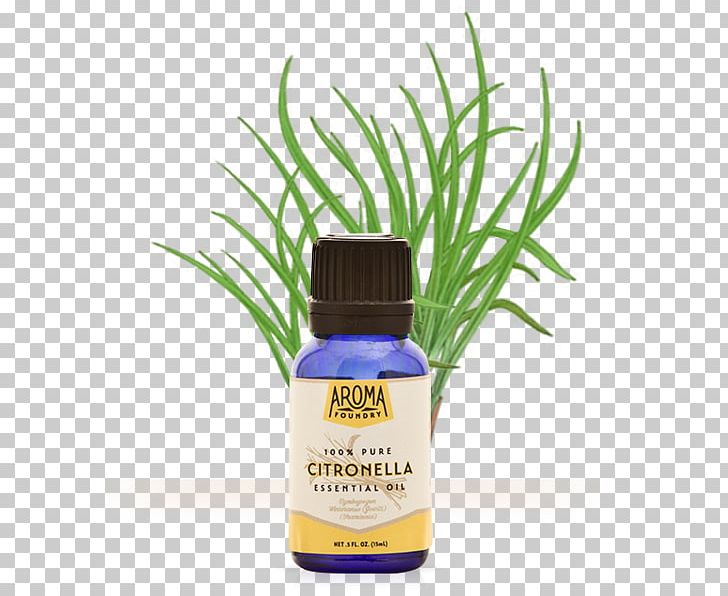 Citronella Oil Essential Oil Plant Aroma Compound PNG, Clipart, 100 Pure, Aroma Compound, Citronella, Citronella Oil, Essential Oil Free PNG Download