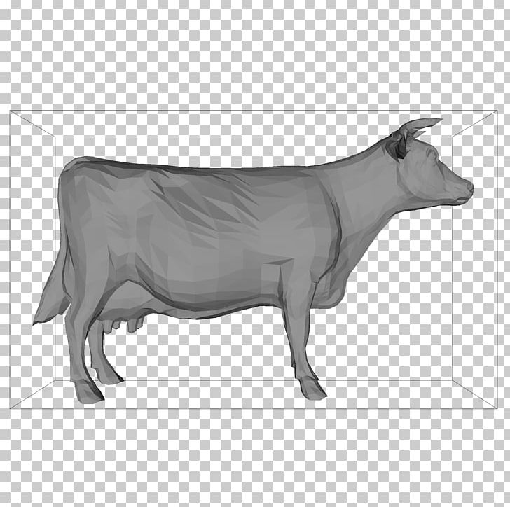 Ox Zebu Goat Paper Bull PNG, Clipart, 3d Computer Graphics, 3d Modeling, Animal, Animals, Black And White Free PNG Download