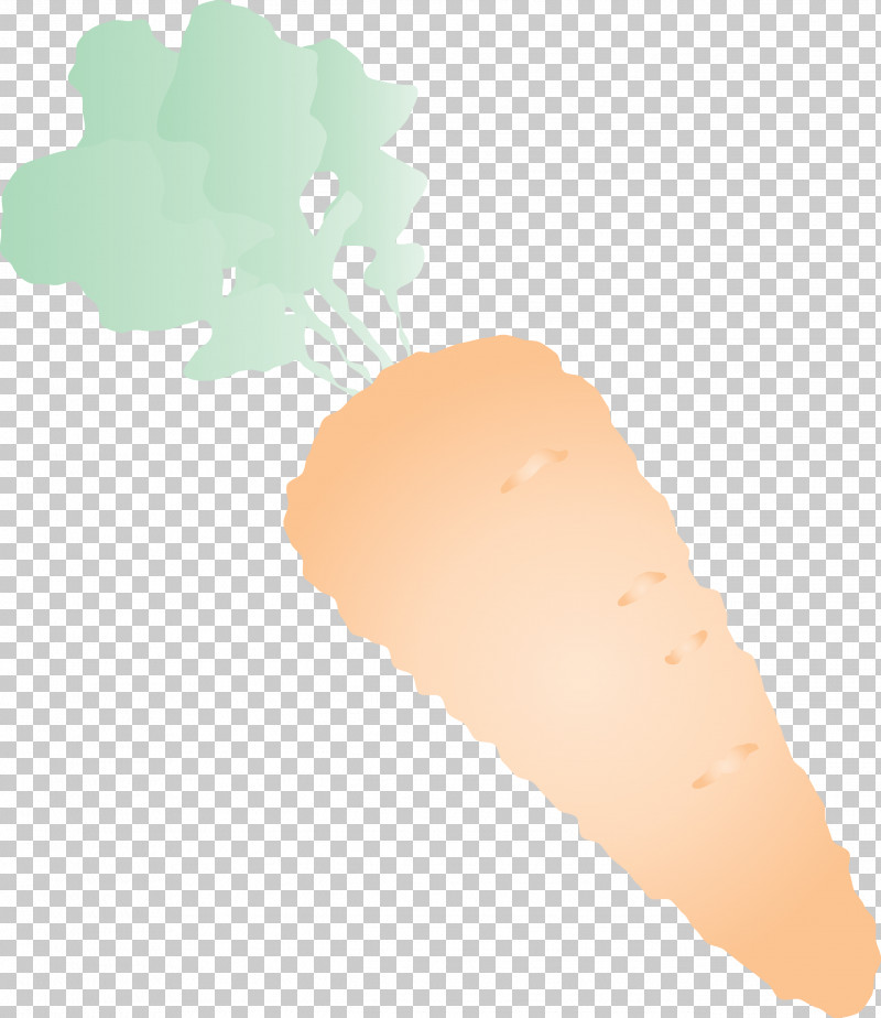 Carrot PNG, Clipart, Carrot, Meter Free PNG Download