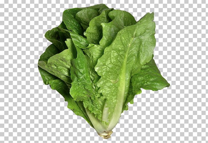 Caesar Salad Lettuce Sandwich Vinaigrette Romaine Lettuce Leaf Vegetable PNG, Clipart, Butterhead Lettuce, Caesar Salad, Celtuce, Chard, Choy Sum Free PNG Download