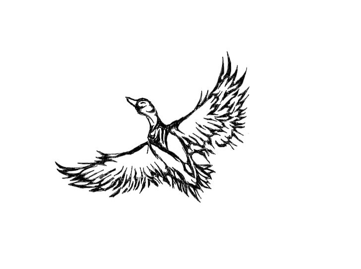 Duck Tattoo Artist Goose PNG, Clipart, Artwork, Beak, Bird, Bird Of Prey, Black And White Free PNG Download