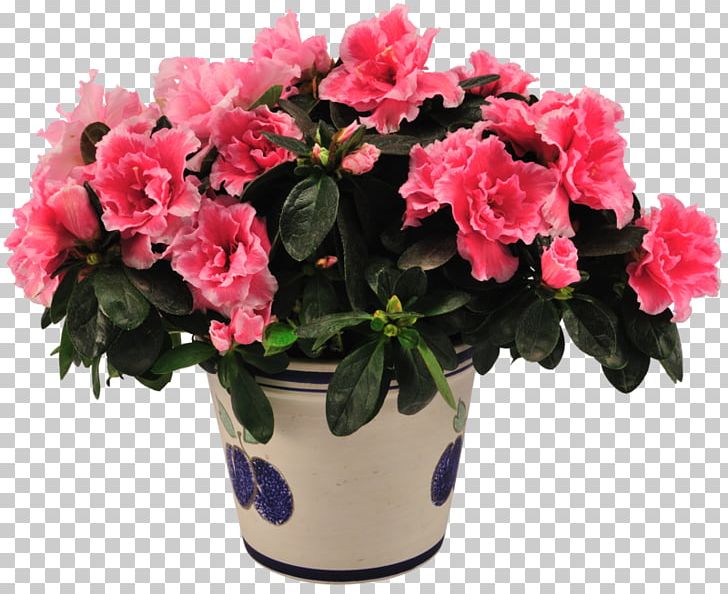 Houseplant Cut Flowers Italy PNG, Clipart, Annual Plant, Artificial Flower, Azalea, Begonia, Busy Lizzie Free PNG Download