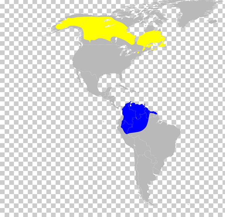 New World Warblers United States Map Scale PNG, Clipart, Americas, Computer Wallpaper, Joint, Map, Mapa Polityczna Free PNG Download