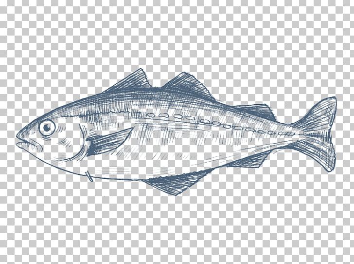 Pollack Fish Products Cod Pollock PNG, Clipart, Alaska Pollock, Animals, Bonito, Bony Fish, Cod Free PNG Download