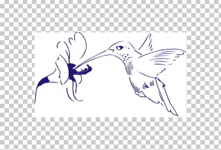 Wing Beak Line Art PNG, Clipart, Animal, Art, Artwork, Beak, Beija Dlor Free PNG Download