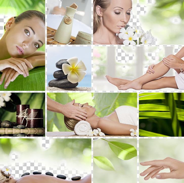 Aesthetics Beauty Parlour Massage Eko Center Centro Estetico PNG, Clipart, Beautician, Body, Body Beauty, Face, Flower Free PNG Download