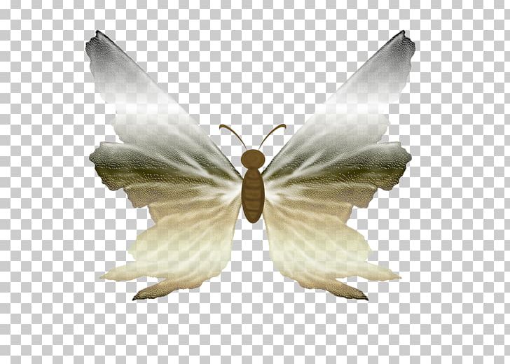Silkworm Bombyx PNG, Clipart, Bombycidae, Bombyx, Bombyx Mori, Butterfly, Insect Free PNG Download