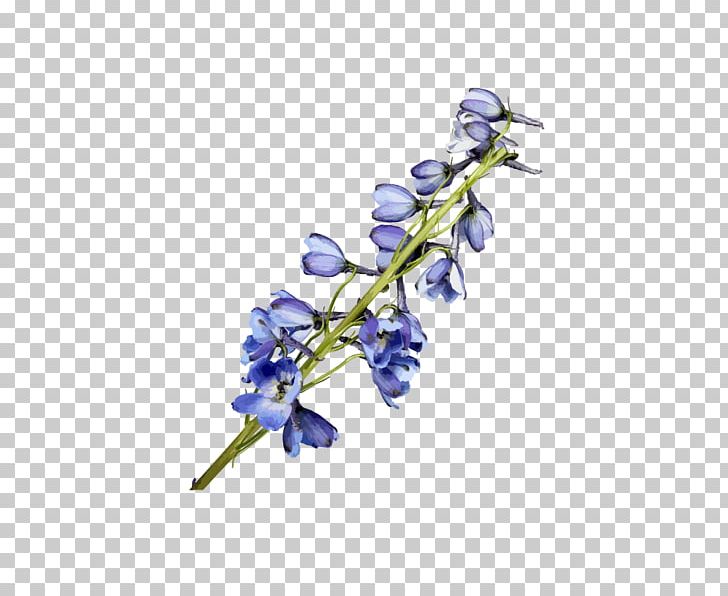 Watercolor Painting Flower Blue PNG, Clipart, Blue, Branch, Cartoon, Designer, Drawing Free PNG Download