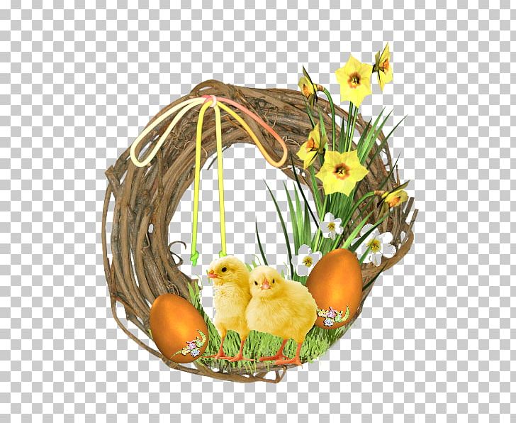 Bird Easter PNG, Clipart, Animals, Basket, Bird, Bird Egg, Bird Nest Free PNG Download