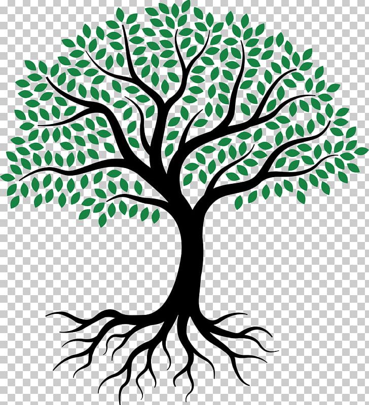 Drawing Root Tree Sketch PNG, Clipart, Art, Artwork, Black And White, Branch, Drawing Free PNG Download