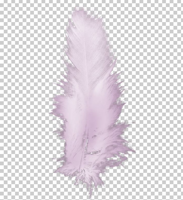 Feather Bird Drawing PNG, Clipart, Animals, Beautiful, Bird, Color, Decorations Free PNG Download