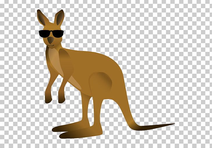 Kangaroo Macropodidae Red Fox PNG, Clipart, Animal Figure, Australia, Carnivoran, Cat Like Mammal, Dog Like Mammal Free PNG Download