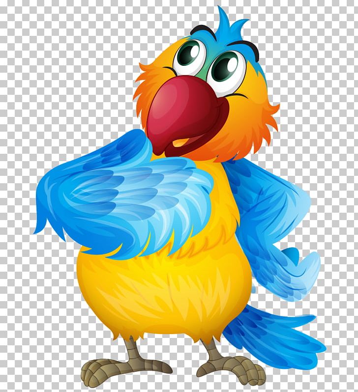 Parrot Bird Cartoon PNG, Clipart, Animal Figure, Animals, Beautiful Vector, Cartoon Animals, Cartoon Eyes Free PNG Download