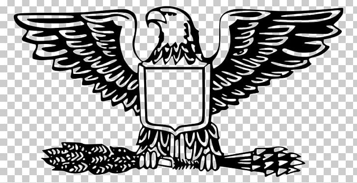 Bald Eagle Badge Eagle Scout PNG, Clipart, Badge, Bald Eagle, Beak, Bird, Bird Of Prey Free PNG Download