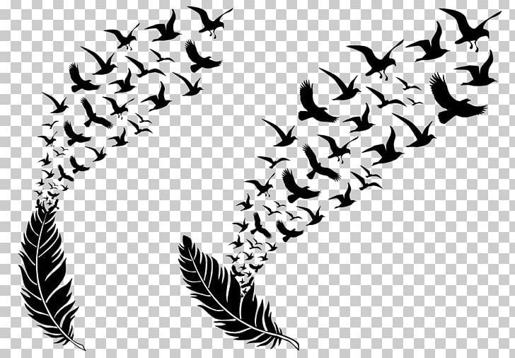 Bird Feather Stock Photography Stock Illustration PNG, Clipart, Bird, Black And White, Black Feather, Decorative Patterns, Depositphotos Free PNG Download